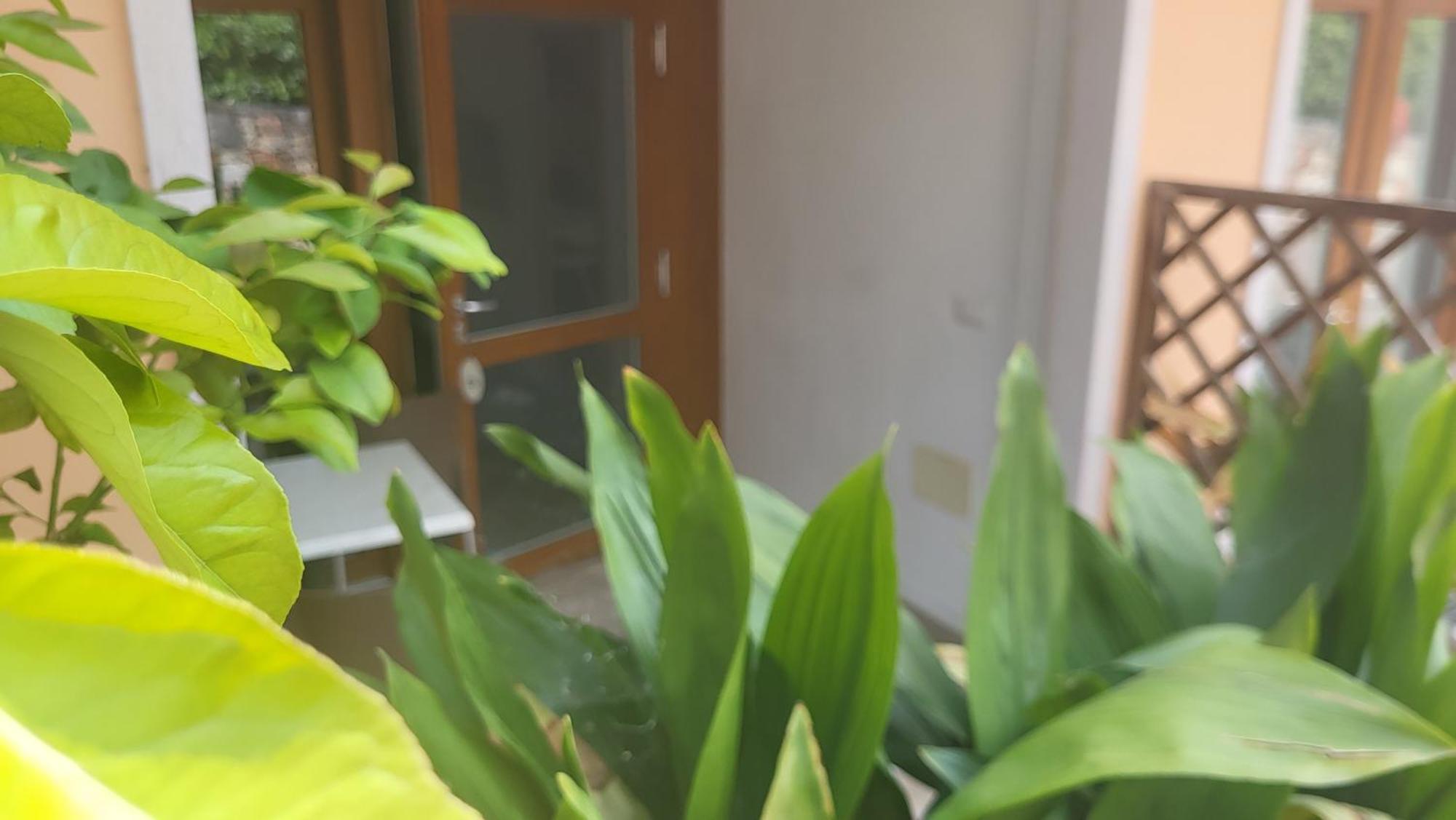 Residence Villa Margherita Brenzone sul Garda Dış mekan fotoğraf