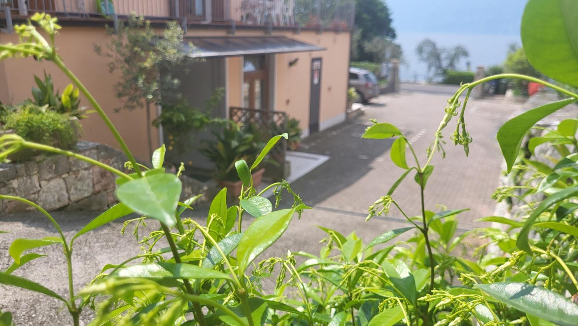Residence Villa Margherita Brenzone sul Garda Dış mekan fotoğraf