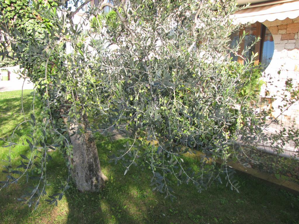 Residence Villa Margherita Brenzone sul Garda Dış mekan fotoğraf